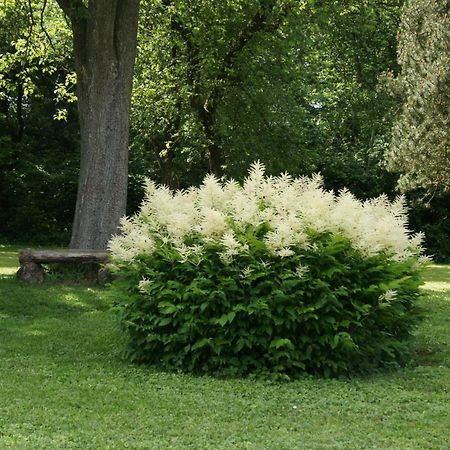 Landgasthof Em Lade Dahlem  Dış mekan fotoğraf
