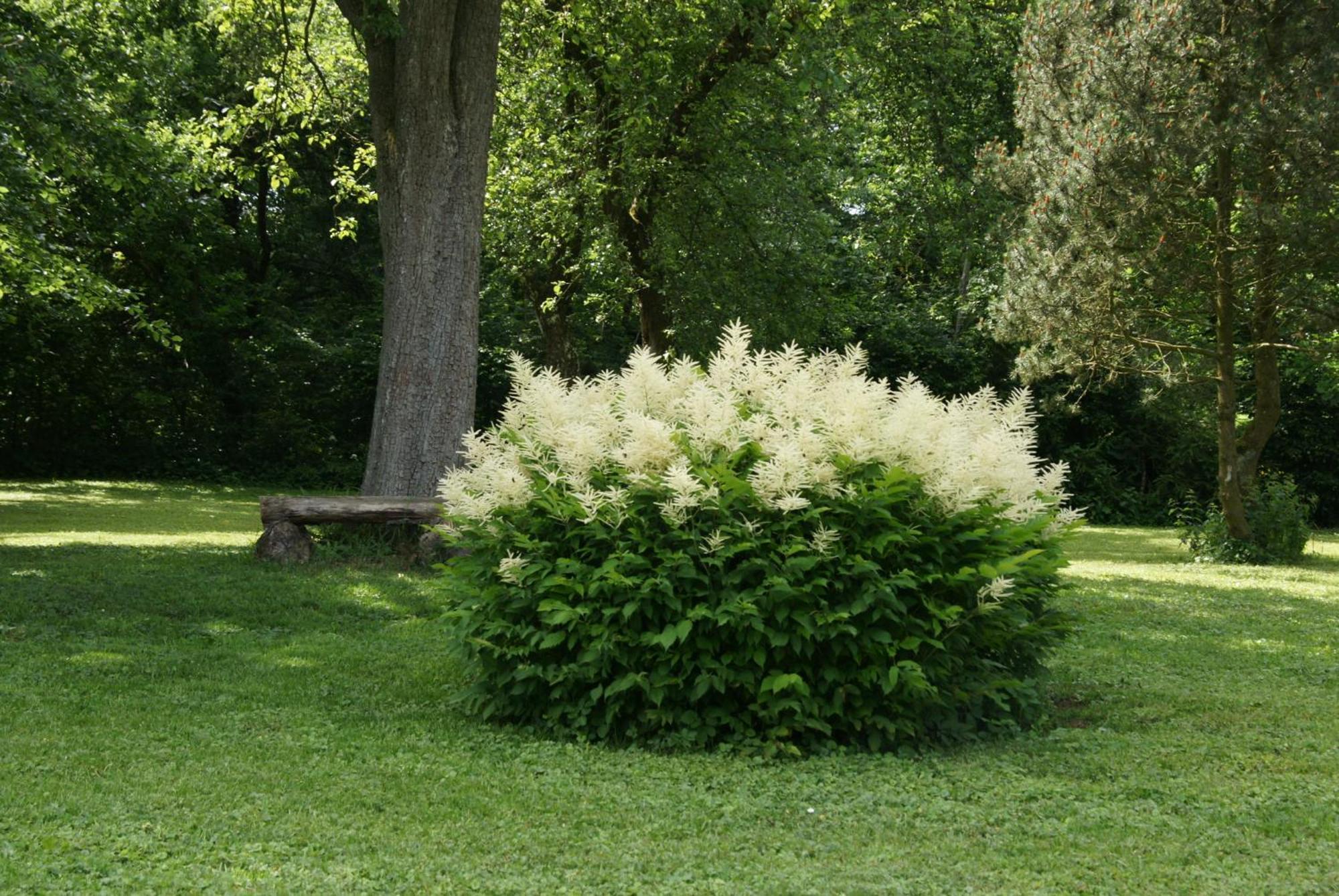 Landgasthof Em Lade Dahlem  Dış mekan fotoğraf